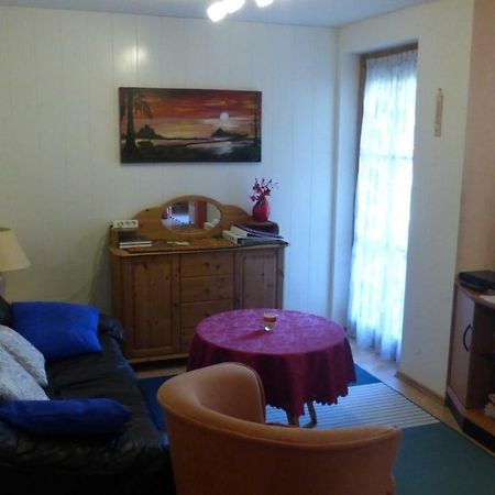 Apartament Schwarzwaldhaus Elzach Zewnętrze zdjęcie