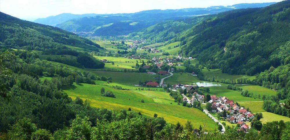 Apartament Schwarzwaldhaus Elzach Zewnętrze zdjęcie